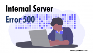 error 500